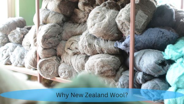 Why New Zealand Wool ?