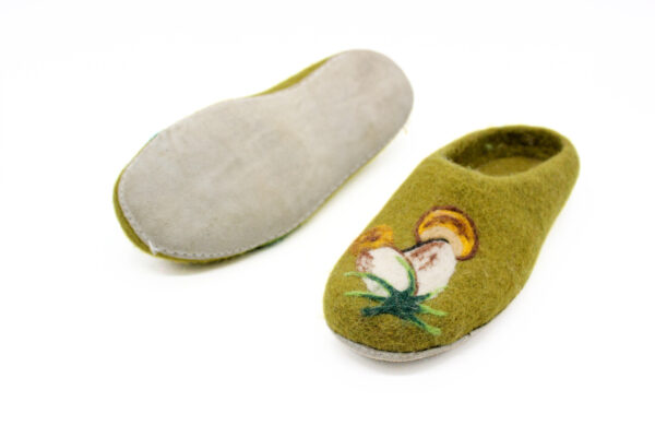 Felt shoes and slipper