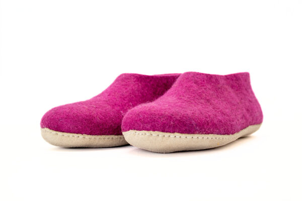 Felt shoes and slipper