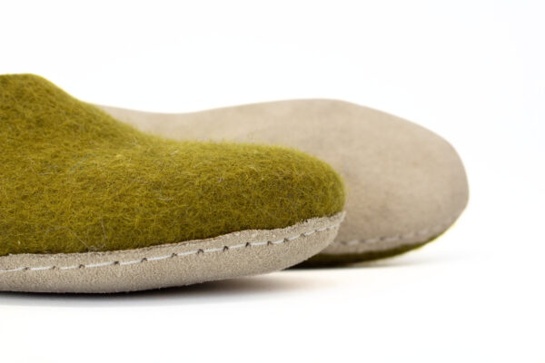 Felt shoes and slipper